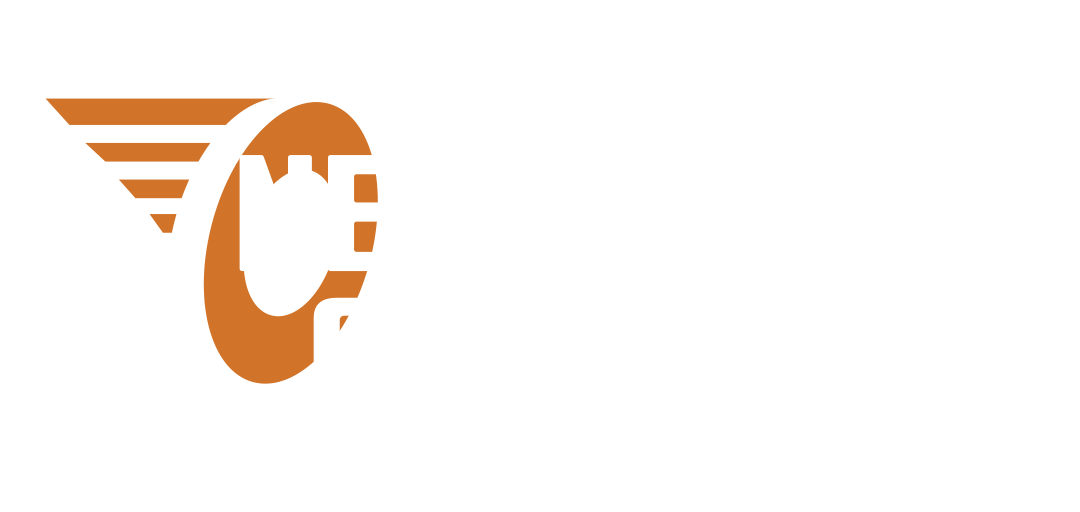 Neumaticos Guerrero
